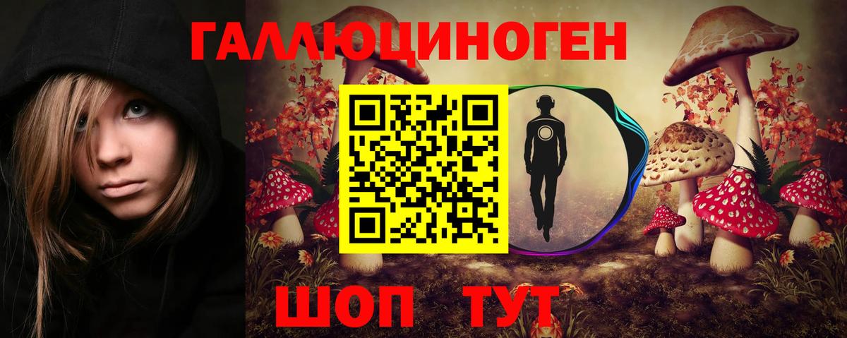 Галлюциногенные грибы Psilocybe  Вход с VPN  Гудермес 
