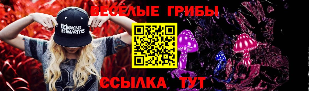 Галлюциногенные грибы GOLDEN TEACHER Гудермес